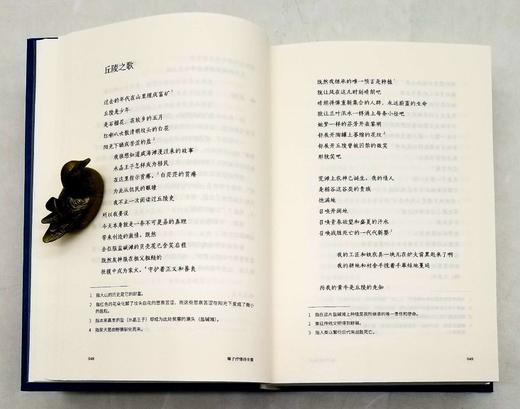 《海子抒情诗全集》（评注典藏版），精装，32开，海子著，陈可抒注释，四川人民出版社2019年版，804页，定价128，售价38元。非偏远地区包邮。 商品图7