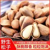 HEB东北松子  500g袋装 商品缩略图1