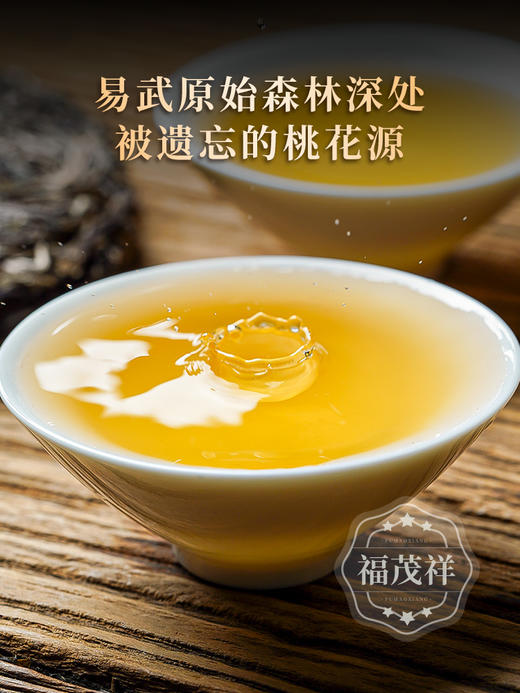 【旧衙门】易武唯一的朝廷驻扎所在地 首次合作开采 成本让茶友体验单株级古树 2023年头春普洱茶易武茶区旧衙门古800高杆古树普洱生茶357g饼茶 商品图2