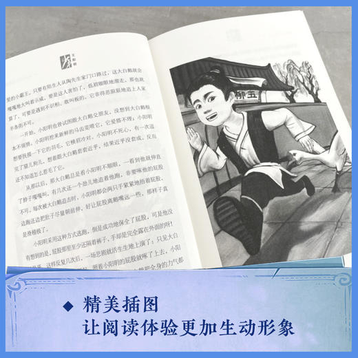 少年王阳明 商品图3