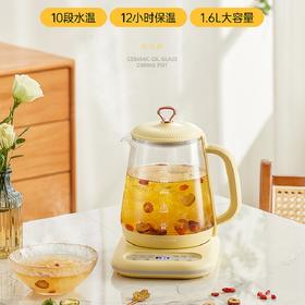 朋森养生壶家用多功能办公室小型自动炖煮烧水壶燕窝煮花茶器恒温