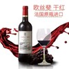 法国原瓶进口红酒 欧丝斐干红葡萄酒 750mL/瓶 商品缩略图0