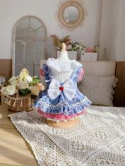 艾狄斯宠物服饰及饰品 商品图4