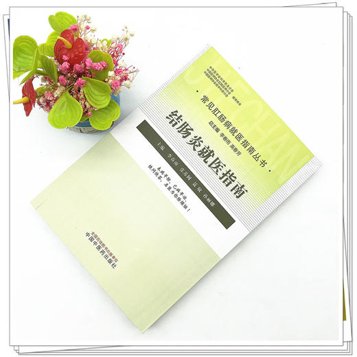 结肠炎就医指南（常见肛肠病就医指南丛书） 李春雨 著 中国中医药出版社 中医肛肠病学书籍 商品图2