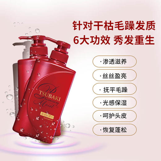 资生堂 红椿套装（盒） 商品图2