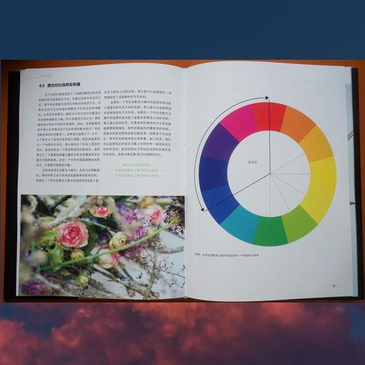花艺色彩设计原理 商品图8