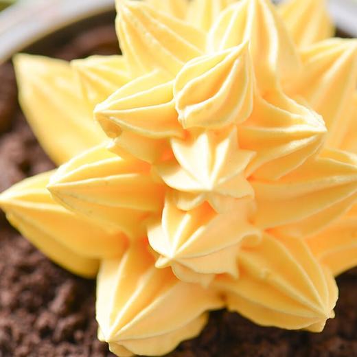 黄色多肉蛋糕50g 商品图2