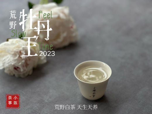 【2023春茶来了】2023荒野牡丹王，如胶似漆，如浆似汤，像是上游的浣花溪里，有美人滴下了几滴珍贵的花露 商品图14