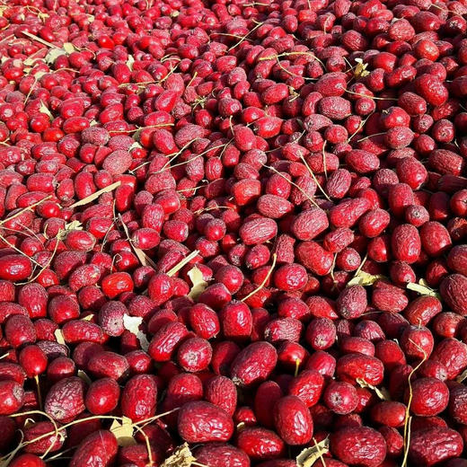 桃花石红枣 商品图1