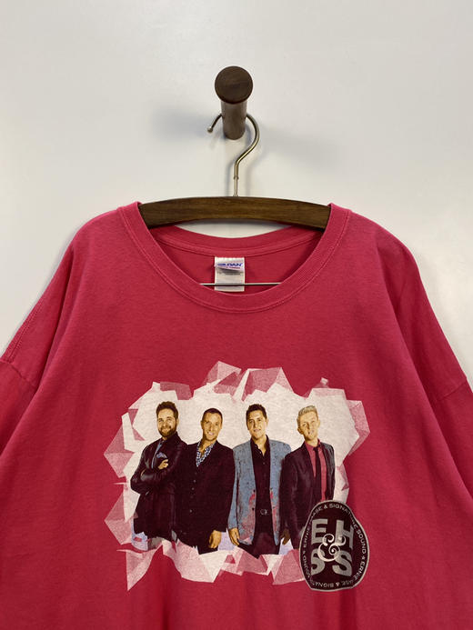 GILDAN 厄尼哈斯和署名之声 短袖T恤 _SST(XL) 商品图3