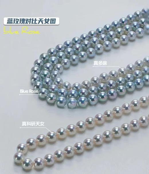 7.5-8mm 蓝玫瑰海水珍珠项链 商品图2