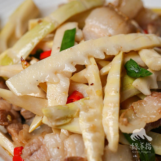 生态高山苦笋（已焯水） | 合作生产 *Ecological Bitter Bamboo Shoots | Coproduction 商品图0