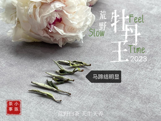 【2023春茶来了】2023荒野牡丹王，如胶似漆，如浆似汤，像是上游的浣花溪里，有美人滴下了几滴珍贵的花露 商品图6