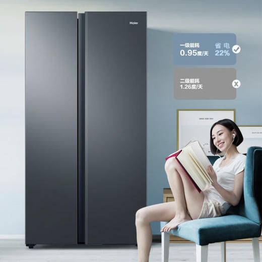 海尔（Haier）冰箱 BCD-616WGHSSEDC9 商品图10