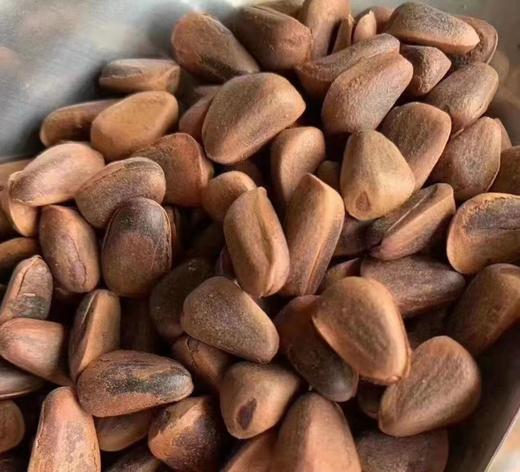 HEB东北松子  500g袋装 商品图4