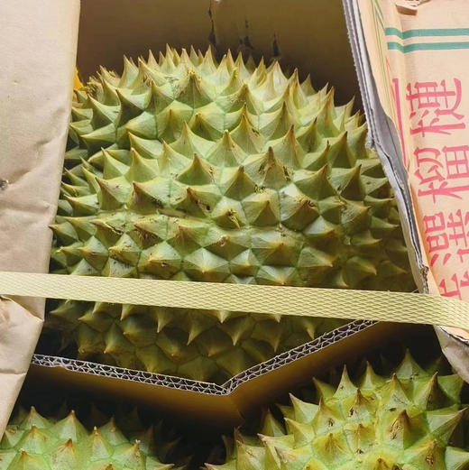 周六配送万柳地区，干饶榴莲，果肉绵软顺滑，香气浓郁，甜度高！！干饶的皮是青绿色不是不熟！！保熟，不包房！ 商品图1