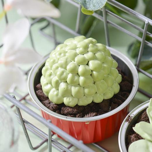 玉坠多肉蛋糕50g 商品图1