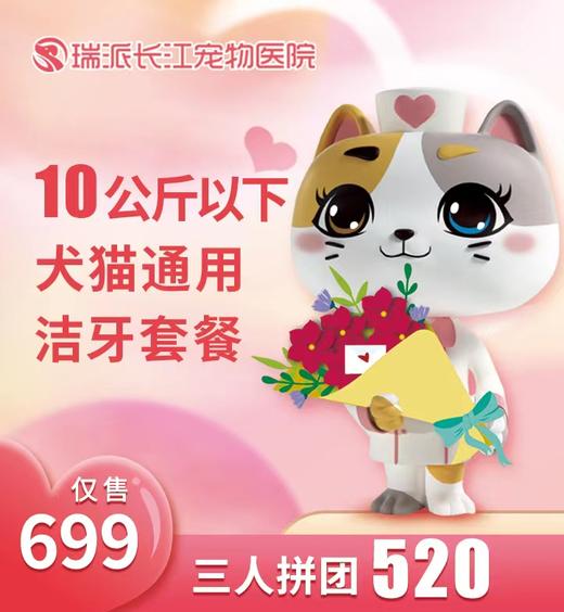 【520洁牙套餐】犬猫通用洁牙套餐10kg以下 商品图0