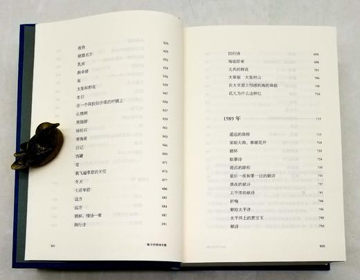 《海子抒情诗全集》（评注典藏版），精装，32开，海子著，陈可抒注释，四川人民出版社2019年版，804页，定价128，售价38元。非偏远地区包邮。 商品图6