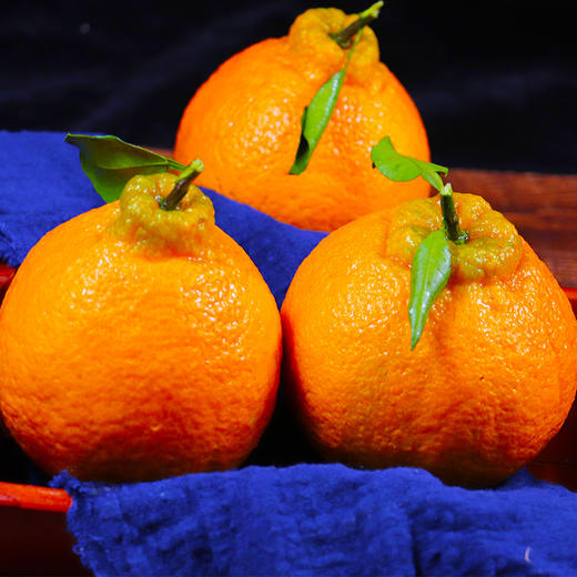 新鲜水果不知火丑橘孕妇水果桔子丑柑橘现货包邮9斤 商品图0