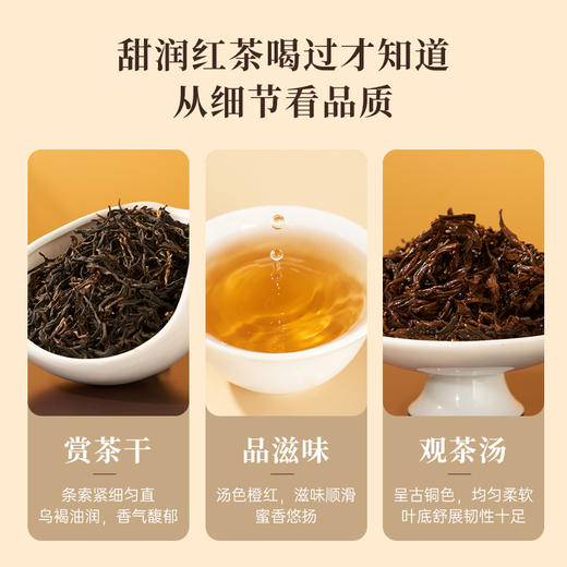 华祥苑-悟桐小种红茶250g礼盒 商品图5