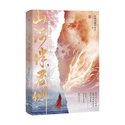 山河伴君侧 拉棉花糖的兔子 著 青春文学 商品图4