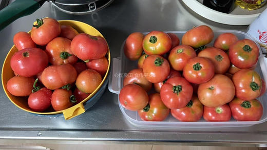 阿林丑番茄 商品图4
