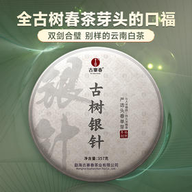 【古树银针】云南古树白茶全芽头临沧核心产区一年仅采一次  357克/饼