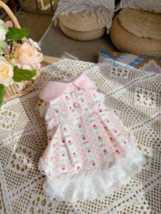 艾狄斯宠物服饰及饰品