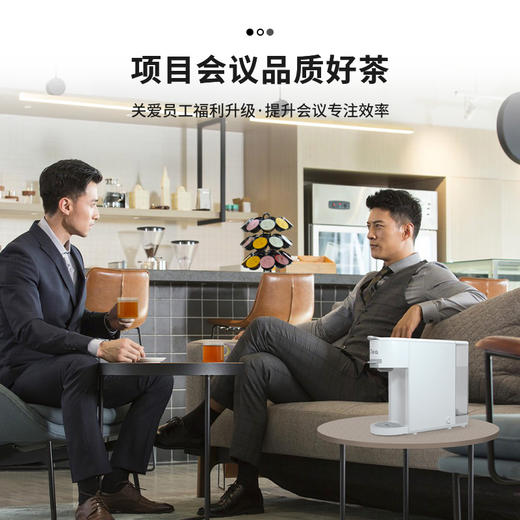 正山堂骏眉中国 一见好茶原叶胶囊茶 一见臻品 红茶白茶组合装53g 商品图3