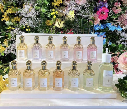 娇兰樱之漫舞 商品图1