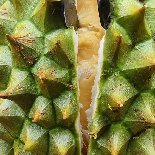 周六配送万柳地区，干饶榴莲，果肉绵软顺滑，香气浓郁，甜度高！！干饶的皮是青绿色不是不熟！！保熟，不包房！ 商品图0