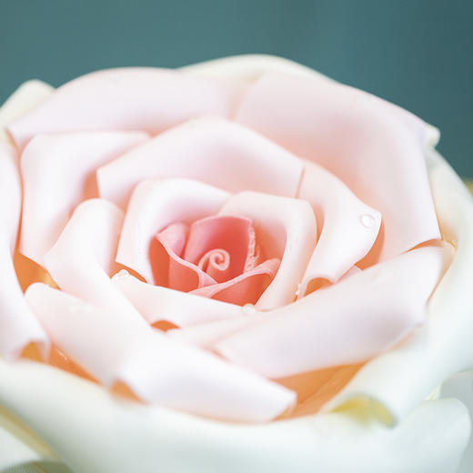 几朵浪漫 商品图1