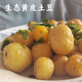 【益品良食】2024年春土豆 谦益传统黄皮小土豆5斤装 自然农法种植 大小不一