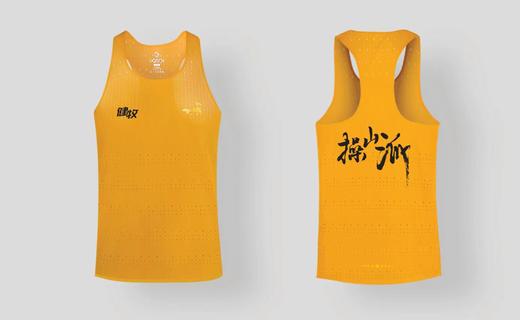 【定制样式展示】此链接拍下不发货，需要定制请联系店长或客服 商品图3