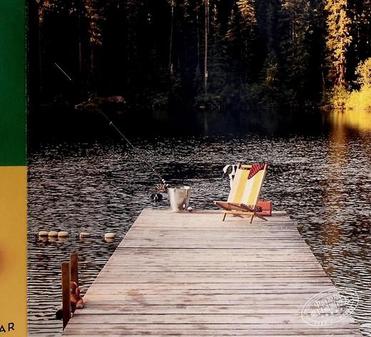 【中商原版】Lets Find Momo Outdoors寻找莫莫2 让我们找到户外的Momo 英文原版纸板书A Hide-and-Seek Adventure with Momo 商品图6