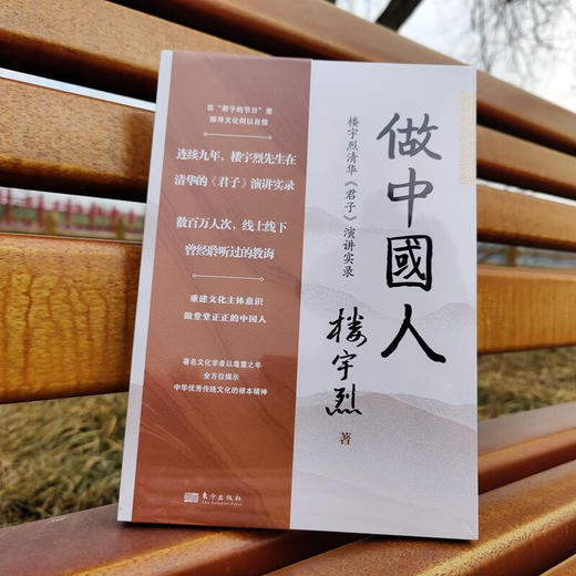 做中国人 楼宇烈 商品图2