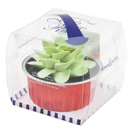 绿色多肉蛋糕50g 商品图3