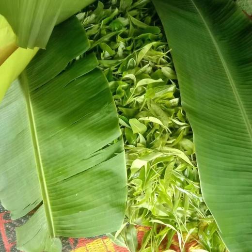 【刮风寨地界】大树纯料普洱茶 商品图1