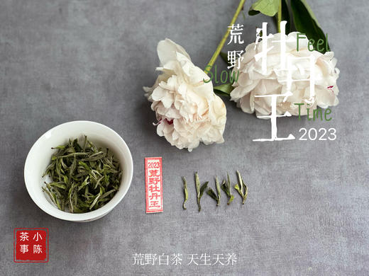 【2023春茶来了】2023荒野牡丹王，如胶似漆，如浆似汤，像是上游的浣花溪里，有美人滴下了几滴珍贵的花露 商品图4