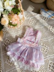 艾狄斯宠物服饰及饰品 商品图2