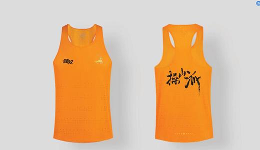 【定制样式展示】此链接拍下不发货，需要定制请联系店长或客服 商品图2