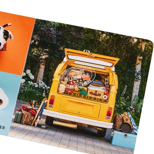 【中商原版】Lets Find Momo Outdoors寻找莫莫2 让我们找到户外的Momo 英文原版纸板书A Hide-and-Seek Adventure with Momo 商品图3