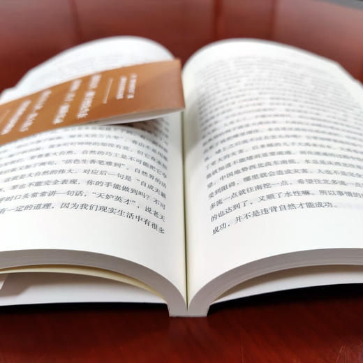 做中国人 楼宇烈 商品图5