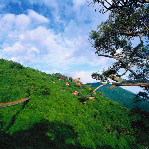 三亚亚龙湾人间天堂-鸟巢度假村 商品图3