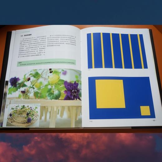 花艺色彩设计原理 商品图7