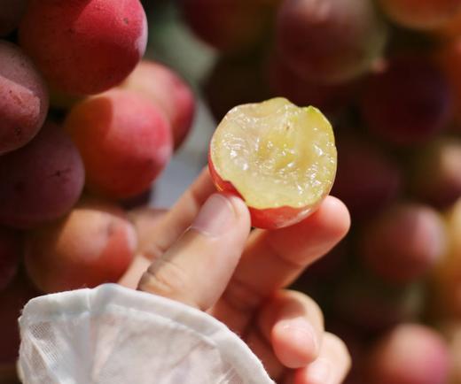 【妮娜晴王🍇】葡萄界的口感之巅，独特红酒🍷口感✅肉嫩，高甜多汁💦无籽❗✅自然成熟🌳葡萄味更加浓郁！比晴王还赞的葡萄一口下去多种水果的味道，带有“果香、奶香、花香、酒香”的高贵葡萄🍇 商品图1