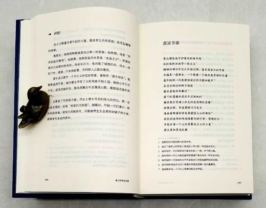 《海子抒情诗全集》（评注典藏版），精装，32开，海子著，陈可抒注释，四川人民出版社2019年版，804页，定价128，售价38元。非偏远地区包邮。 商品图8