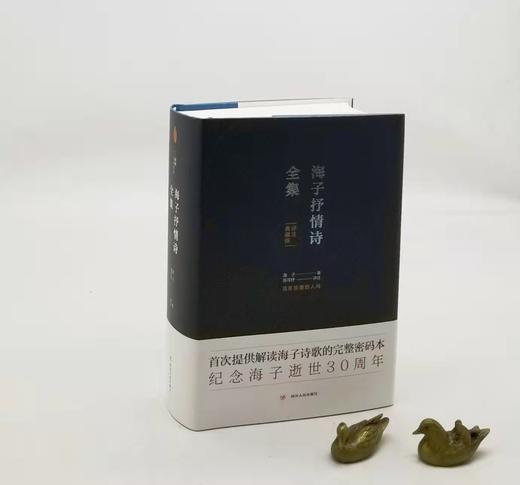 《海子抒情诗全集》（评注典藏版），精装，32开，海子著，陈可抒注释，四川人民出版社2019年版，804页，定价128，售价38元。非偏远地区包邮。 商品图0