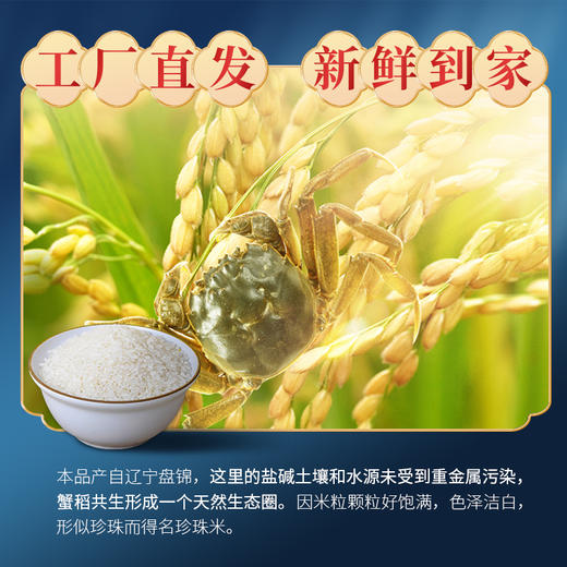 Z1258 金龙鱼盘锦大米蟹田米5kg/袋 商品图3